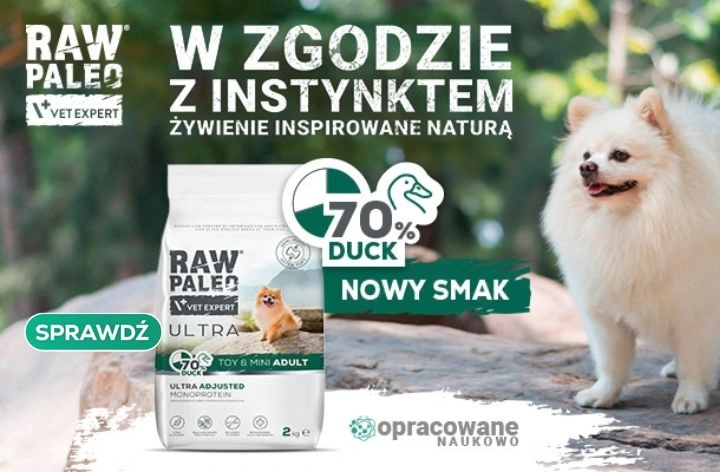 RAW PALEO - nowe smaki