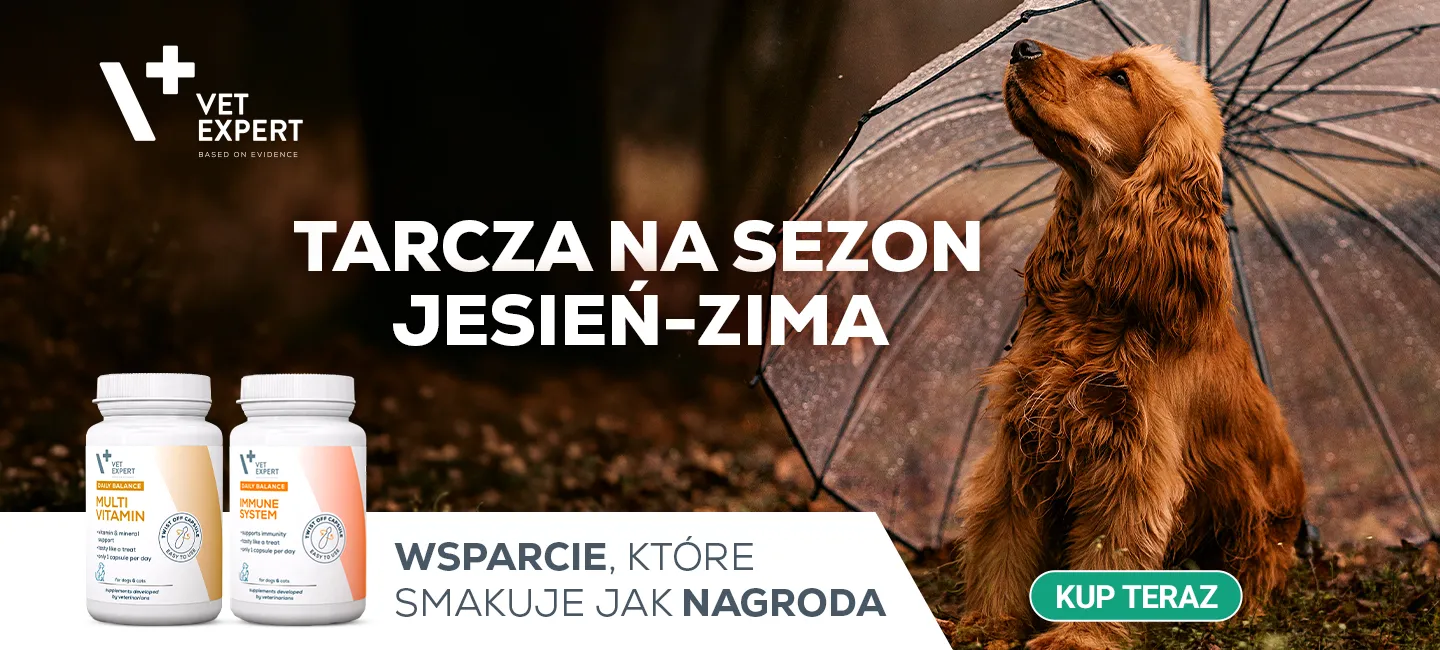 Tarcza na sezon jesienno-zimowy