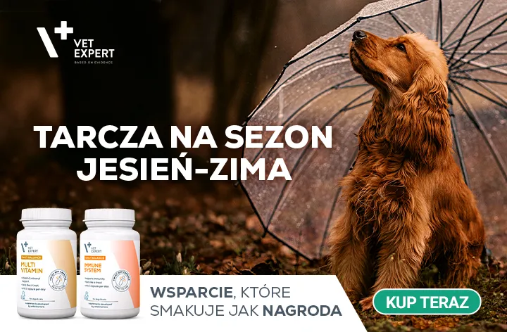 Tarcza na sezon jesienno-zimowy