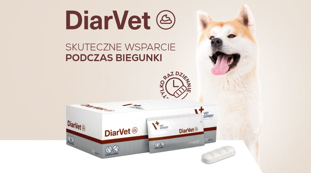DiarVet Tabletka
