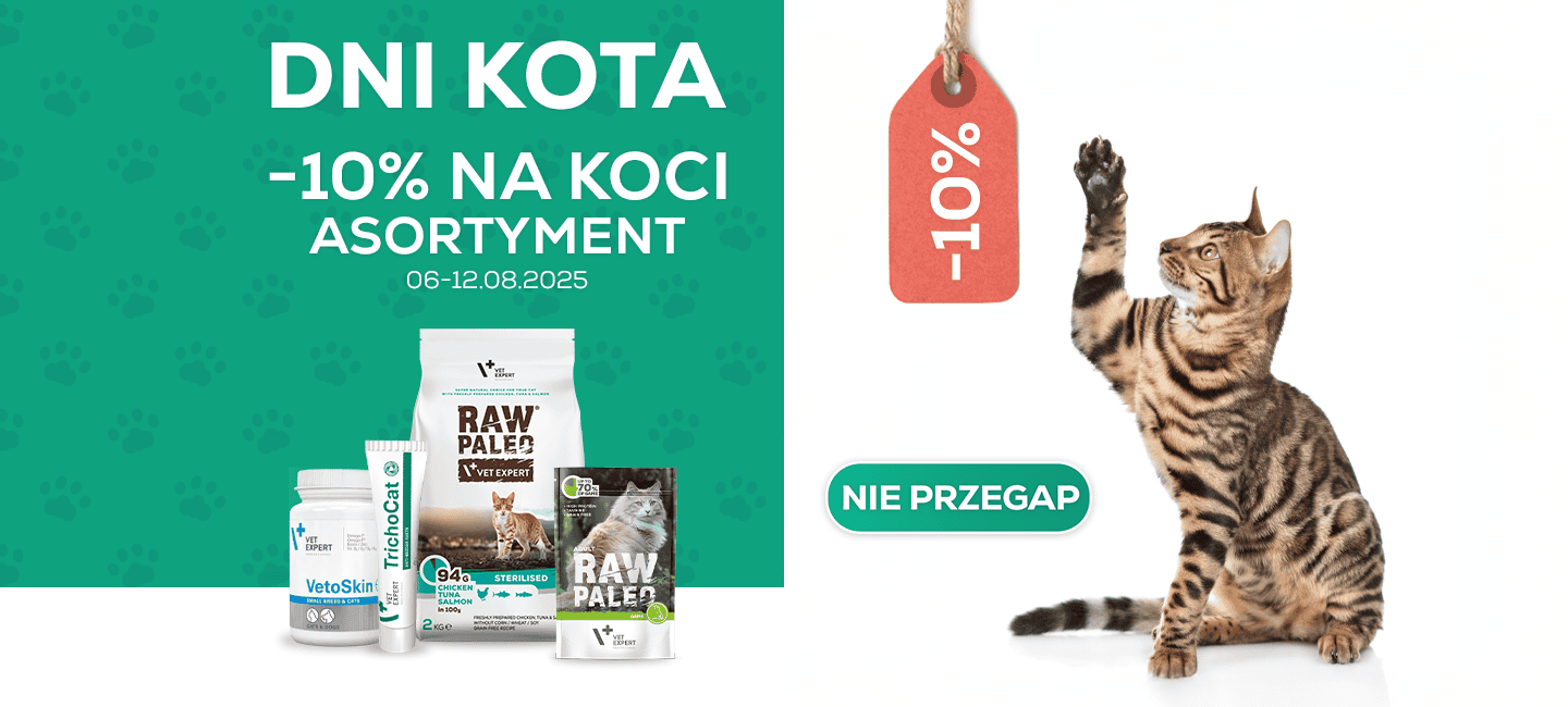 Dni Kota