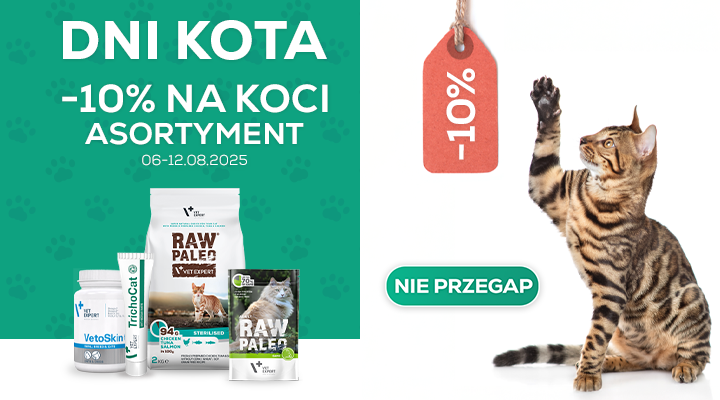 Dni Kota