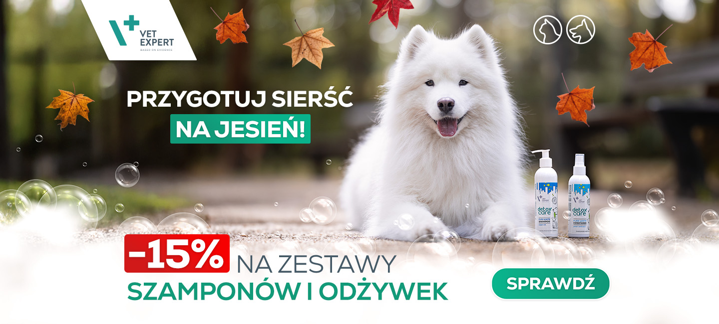 Promocja na szampony i odżywki