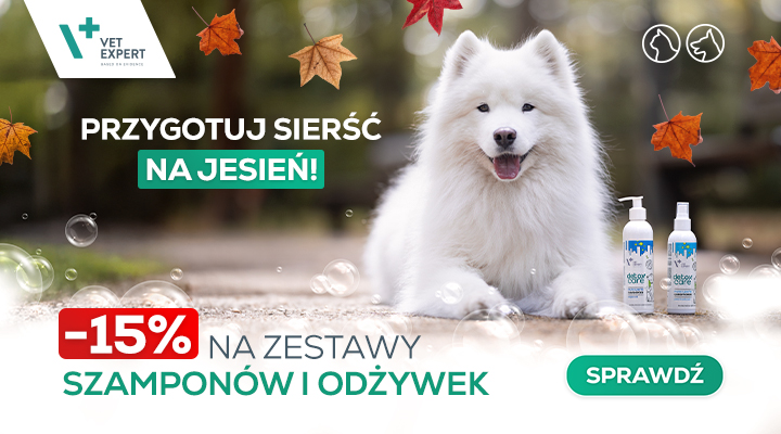 Promocja na szampony i odżywki