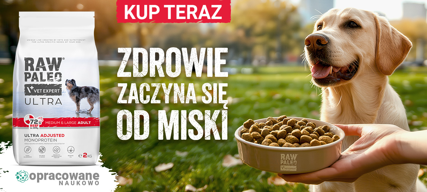 RAW PALEO - zdrowie zaczyna się od miski