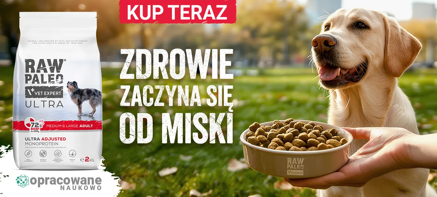RAW PALEO - zdrowie zaczyna się od miski