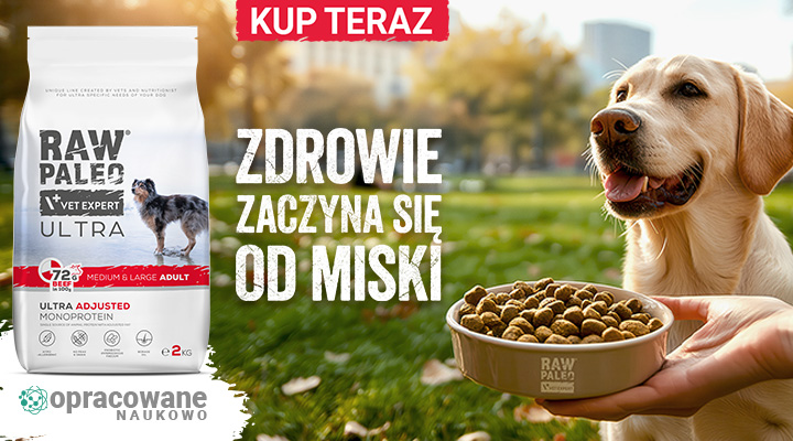 RAW PALEO - zdrowie zaczyna się od miski