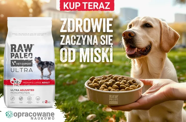 RAW PALEO - zdrowie zaczyna się od miski