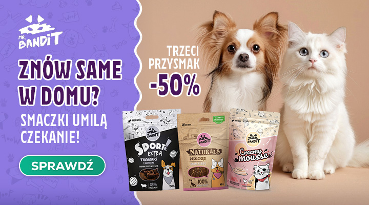 Promocja Mr. Bandit: trzeci przysmak -50%
