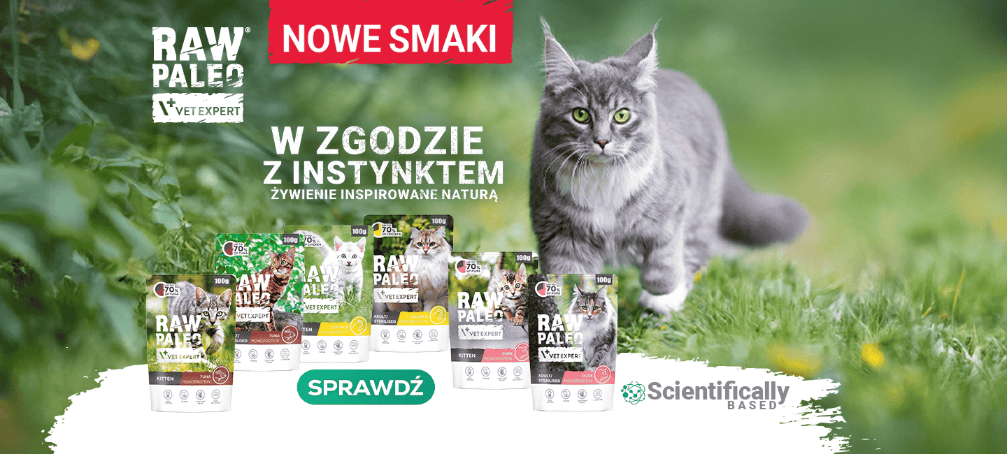 RAW PALEO dla kota - nowe smaki
