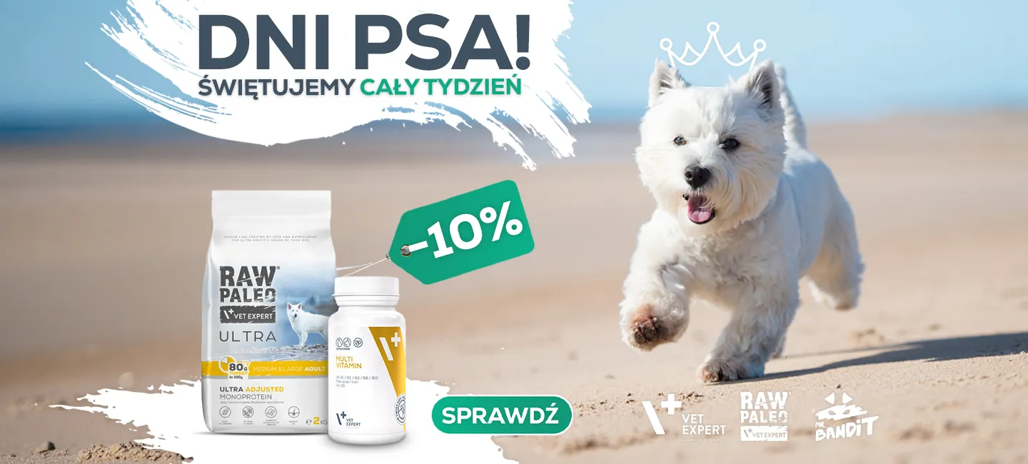 Tydzień Psa