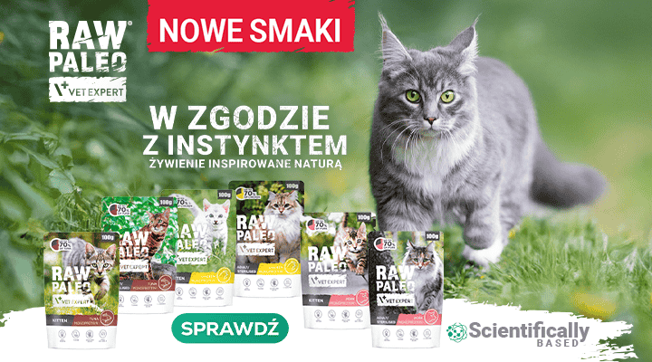 RAW PALEO dla kota - nowe smaki