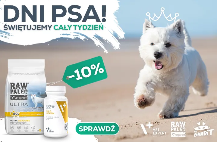 Tydzień Psa