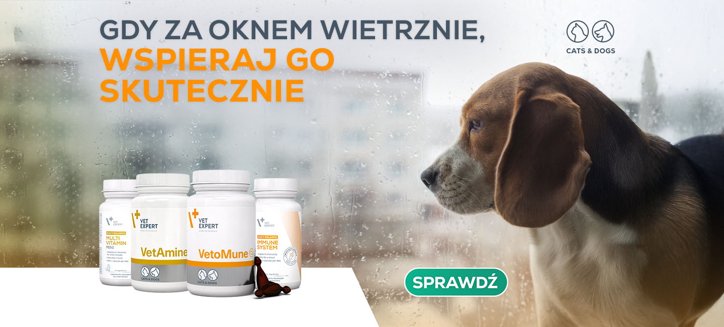 Wsparcie odporności