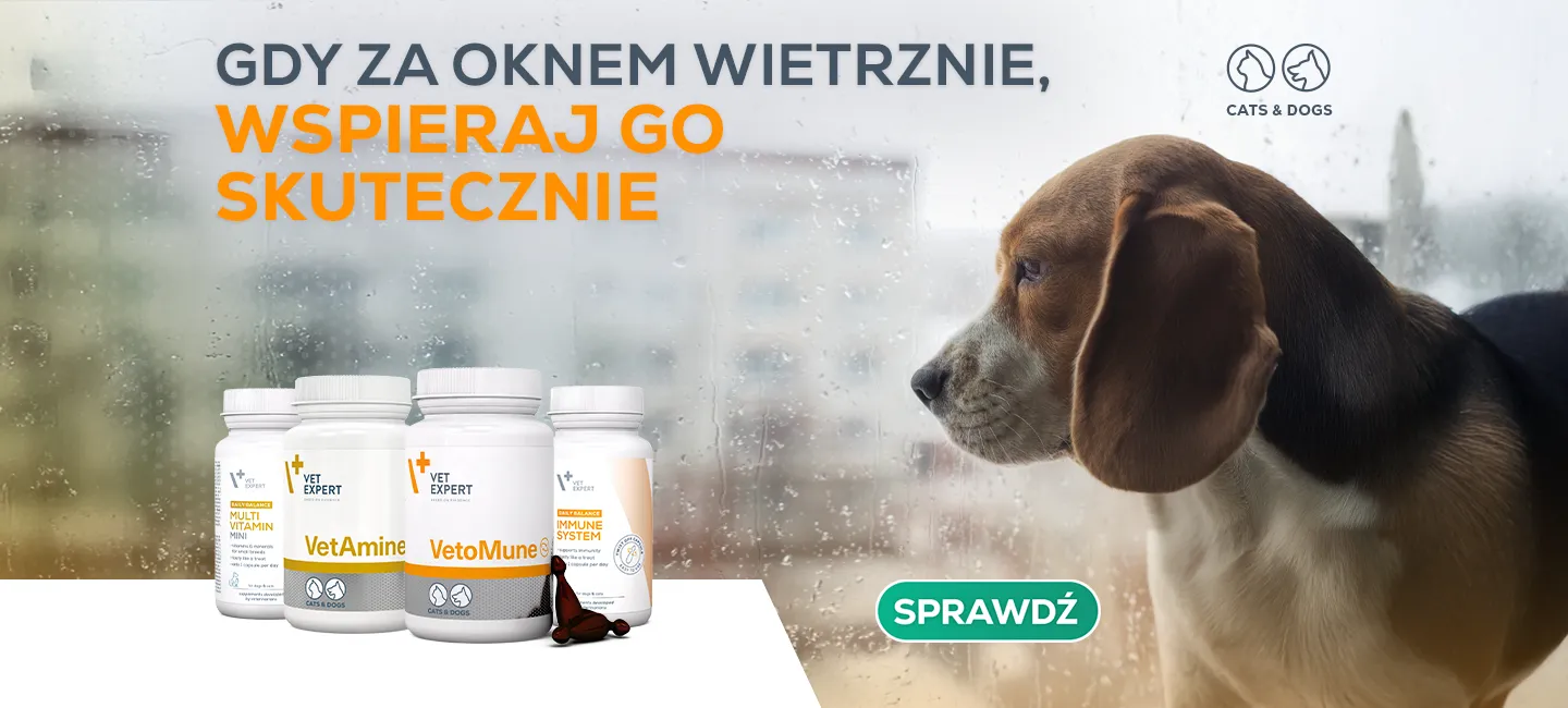 Wsparcie odporności