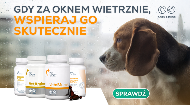 Wsparcie odporności