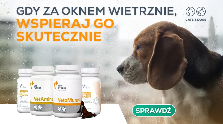Wsparcie odporności
