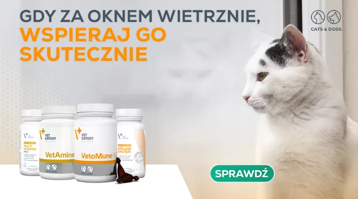 Wsparcie odporności