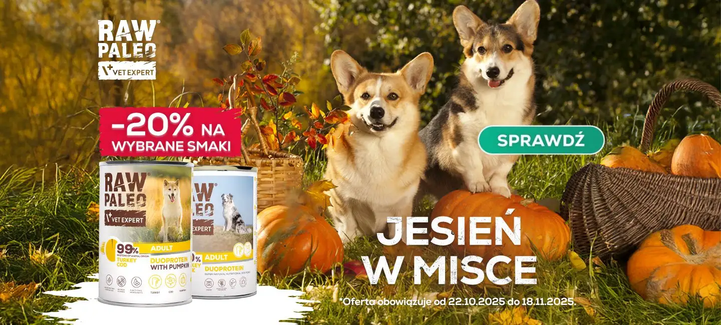 Jesień w misce