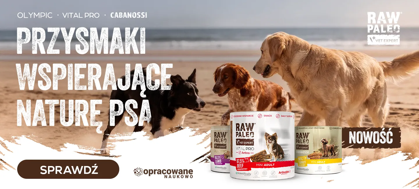 Nowość! Przysmaki RAW PALEO