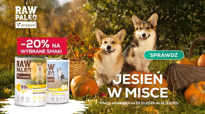 Jesień w misce