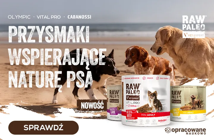 Nowość! Przysmaki RAW PALEO